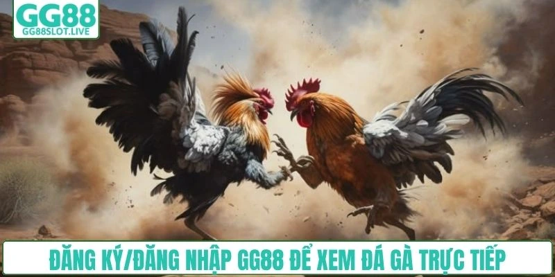 Đăng ký/đăng nhập GG88 để xem đá gà trực tiếp